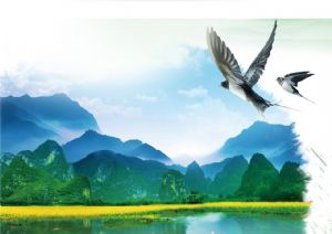聚焦高考&mdash;&mdash;綠水青山，我們押中了！