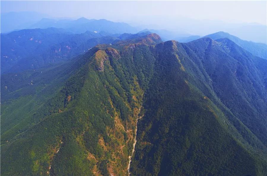 云浮：嚴(yán)防森林火災(zāi) 堅(jiān)決守護(hù)綠水青山